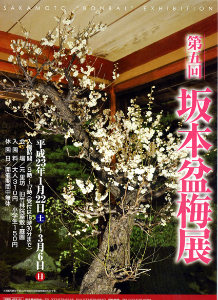 ひと足早い春をどうぞ