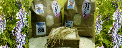 大津農協の「はなふじ米」全国環境農業コンクール優秀賞