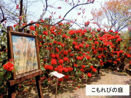 ガーデンミュージアム比叡