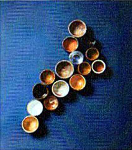 県内33蔵元の日本酒味わえる「びわ湖で地酒で乾杯！」