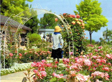 びわ湖大津館　春のローズフェスタ