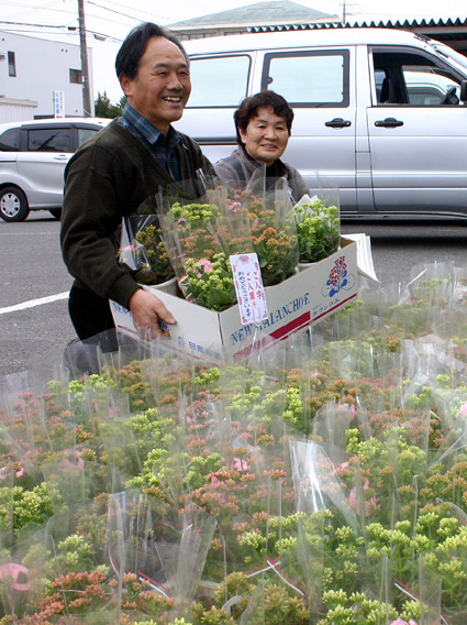 今年も37校・園に１８６鉢 入学・入園の花鉢贈る
