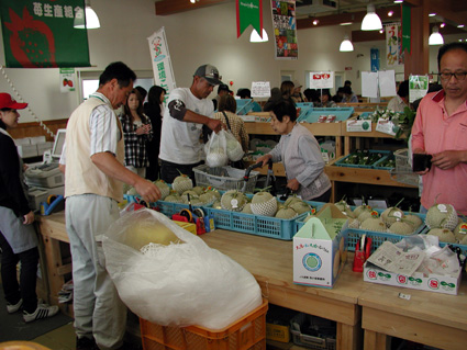 大好評！初夏の味覚 あいとうメロン