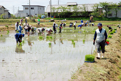 田んぼのオーナー田植えに挑戦