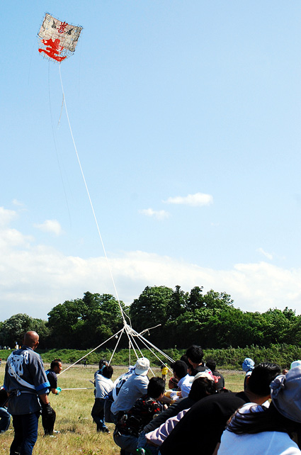 高さ150m、滞空4分28秒 100敷大凧「共生」最後の雄姿