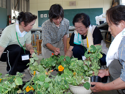 生徒と一緒に学ぶ農 八日市南高の「農業塾」開講