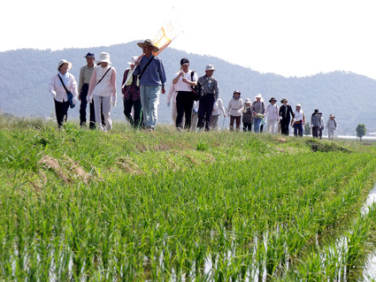 ウォーキングで健康づくり 竜王町老人クラブ連合会