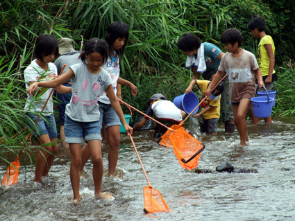 身近な川の生態調査 かいどり大作戦