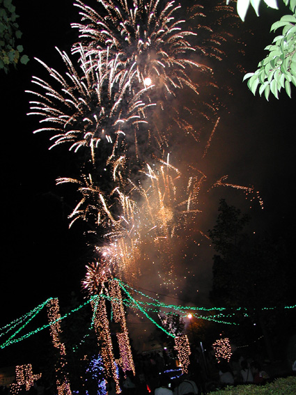 幻想的なサマーフェスタ「コトナリエ」別世界に誘うイルミネーション