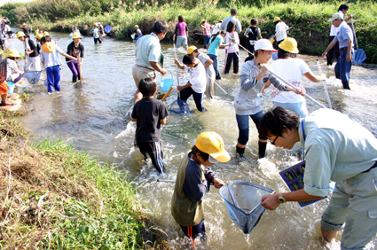 ヨシノボリやスジエビなど 地元の川で生きもの調査