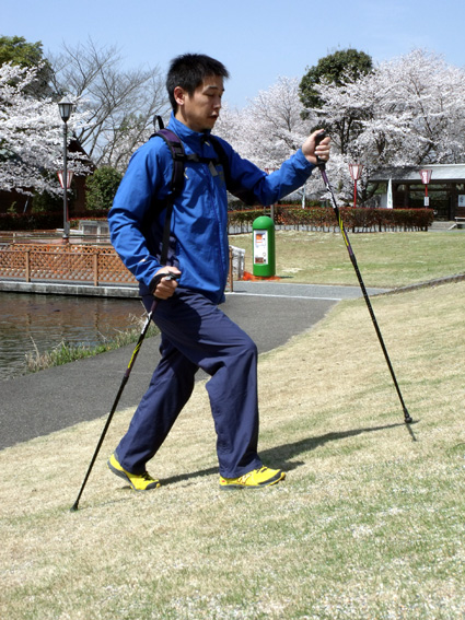 楽しく効果的な運動！ノルディックウォーキング