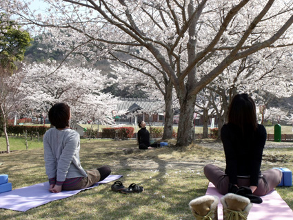 精神的開放感で運動効果UP「アウトドアヨガ教室」