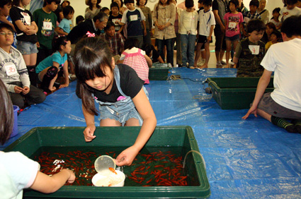 全国大会への予選会兼ねて 金魚すくい近江八幡大会