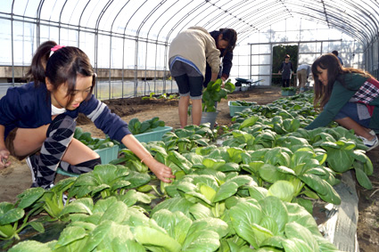 愛情いっぱいの「北チン」直売所・愛菜館で大好評