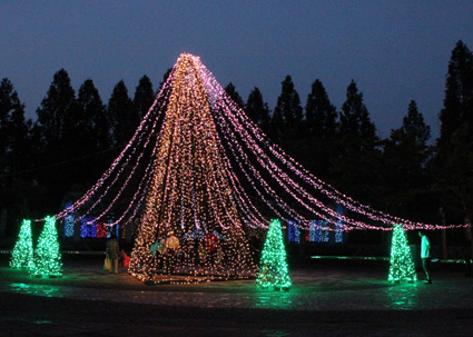 光と環境のページェント