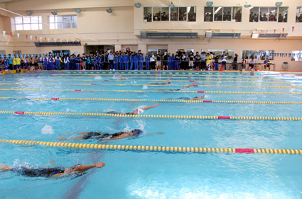 全力の泳ぎに飛び交う声援