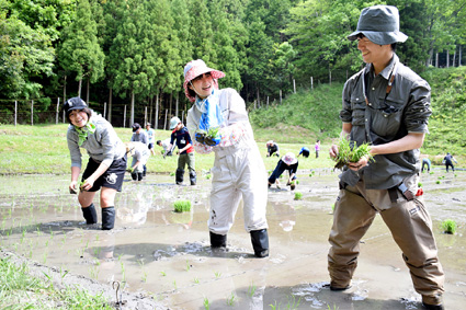 ボランティアも参加　棚田で田植え