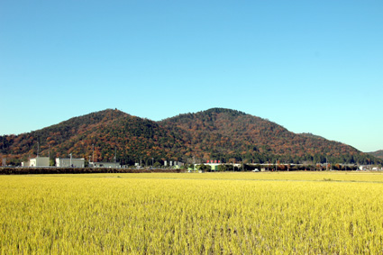 専門職員と近江歴史探訪　雪野山の古墳群を歩く