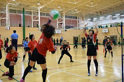 竜王町ビーチボール親善大会 県内外から90チーム出場