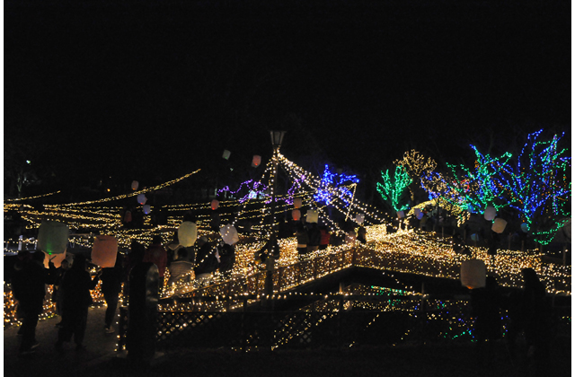 神秘的な光の空間「イモセルージョンライトアップ」