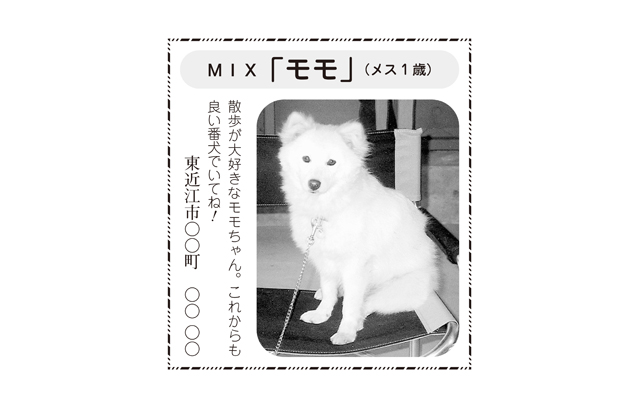 新春特別企画の参加者募集！