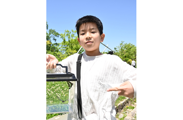 読者便り　こんなの発見！昆虫界のイクメン？コオイムシ