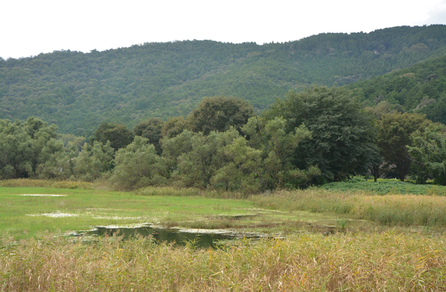 悠久の1400年　太子歴遊（31）