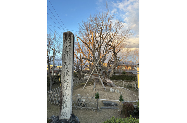 悠久の1400年　太子歴遊（48）