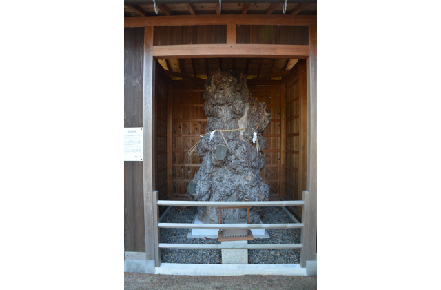 悠久の1400年　太子歴遊（49）