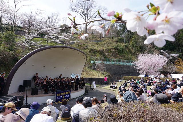 延命公園で5年ぶり、さくらはるまつり