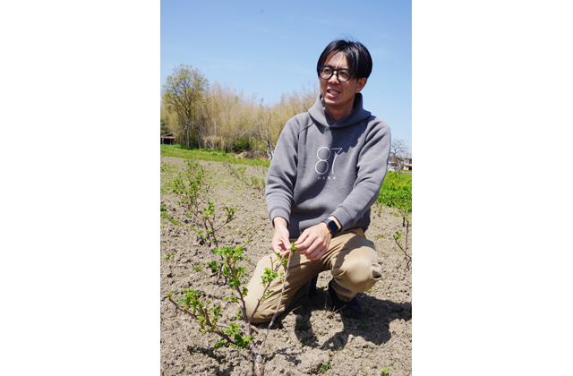 耕作放棄地をお花畑に ＣＦ第2弾　87ｆａｒｍの挑戦