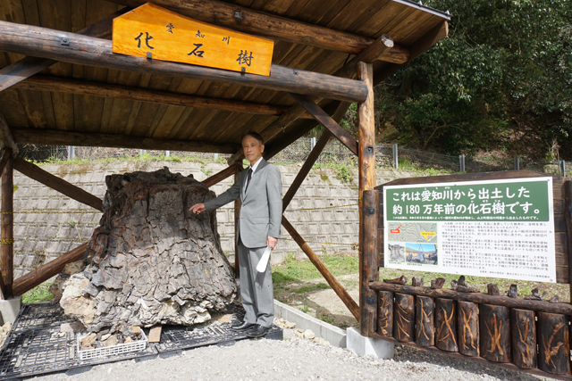 180万年前の化石樹 屋外展示棟が完成