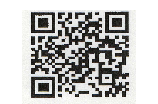 自慢の花壇を募集 花フェスタ開催