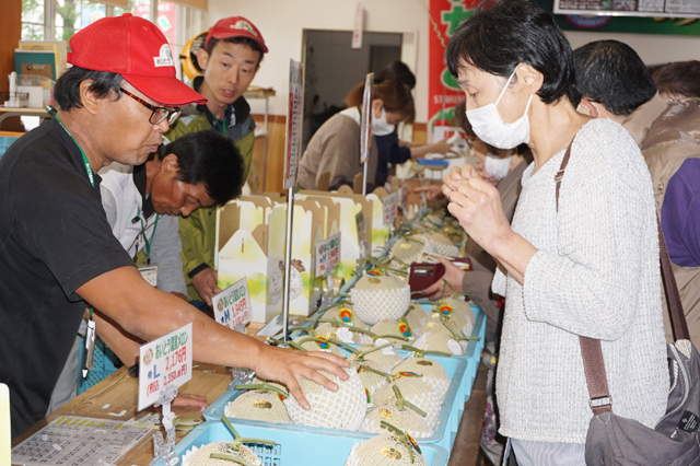 初夏の味覚、販売始まる 愛東名物あいとうメロン