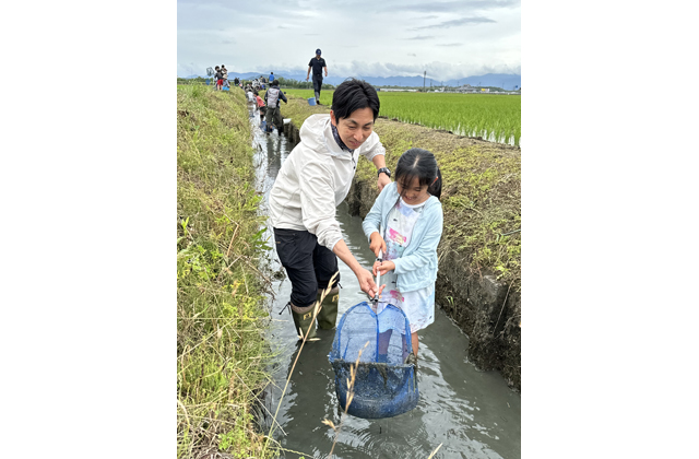 琵琶湖の魚が水路にいっぱい