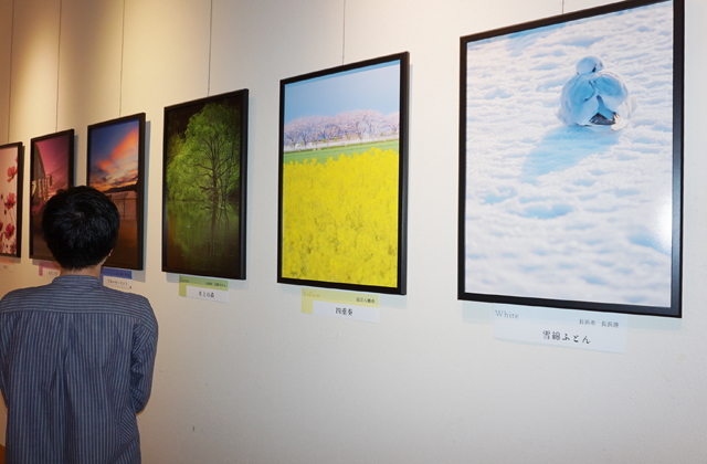 刻々と変化する日常の彩り