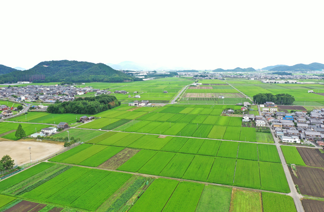 近畿最大の耕地面積を生かし持続可能な農業へ