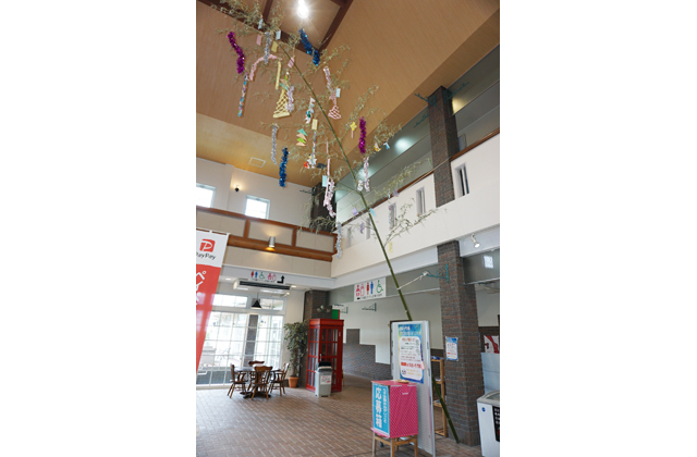 七夕企画「あなたの願いかなえます」