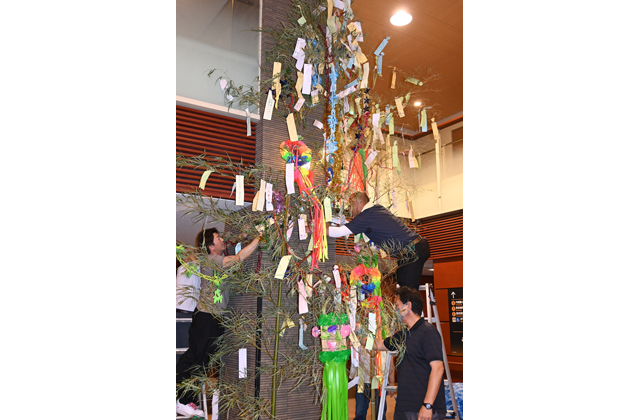 病気が治りますように！病院内の七夕飾りに願い