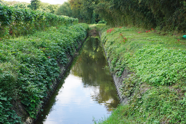 建部いきものの水路「自然共生サイト」認定