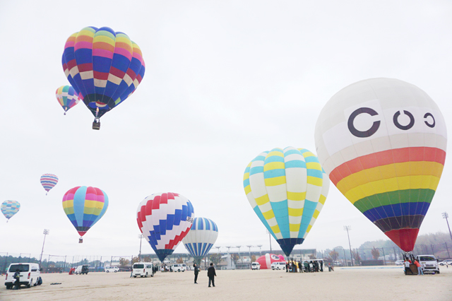 晩秋の大空をカラフルに彩る