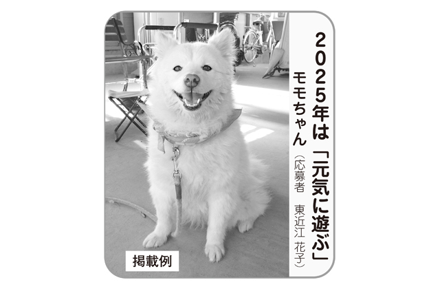 掲載希望者募集 わが家自慢のペット特集2025