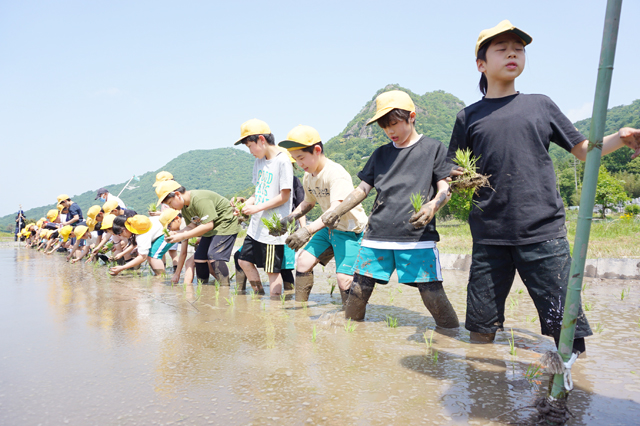 水田に歓声、どろんこでも笑顔