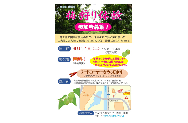 参加者募集 梅狩り体験
