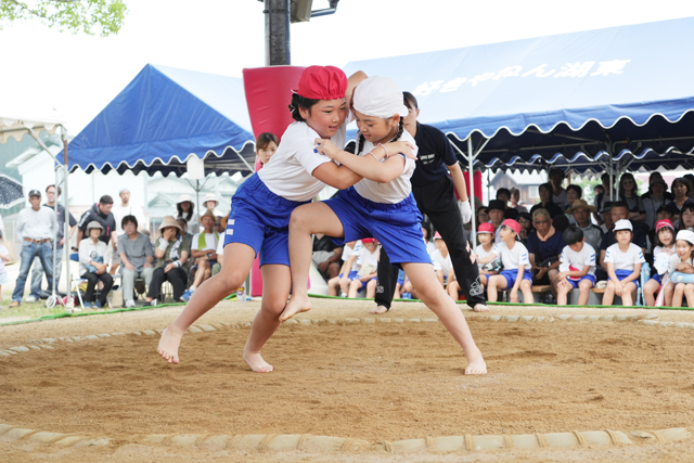 ちびっこ力士 全力勝負 ５０回の記念大会