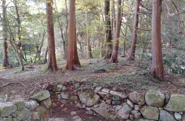 今年度の発掘調査開始「幻の安土城」令和の大調査