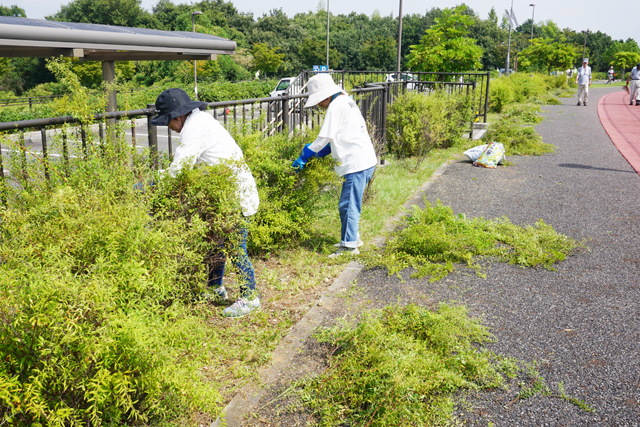 もうすぐ国スポ　気持ち良く使って 会員らが会場で除草