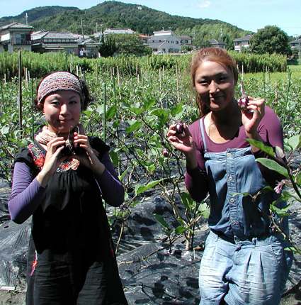 湖南市 女性の感性生かした農業を模索 佐々木由珠さんと三峰教代さん