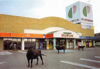 福島第一原発20キロ圏内の記録 太田康介写真展『残された動物たち』