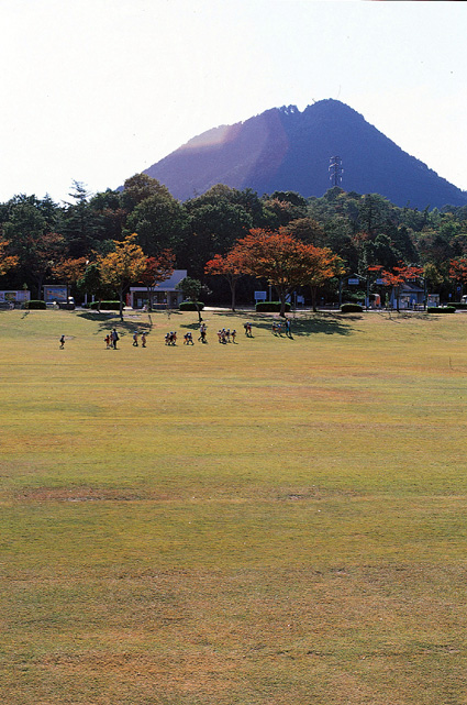 希望が丘文化公園 スポーツフェス参加募集